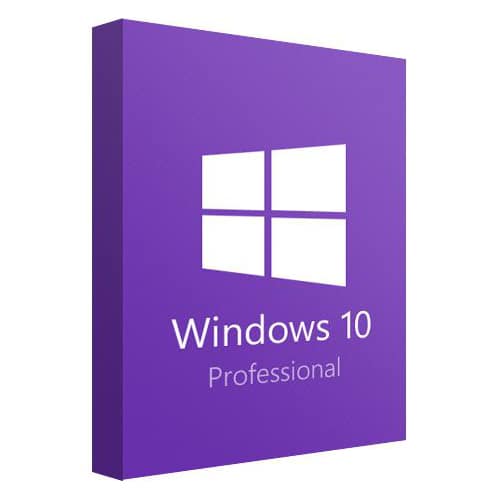 270052455_windows-10-professional.jpg