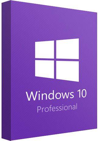 278747362_windows-10-professional.jpg