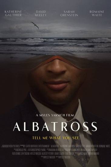 albatross9wk1y.jpg