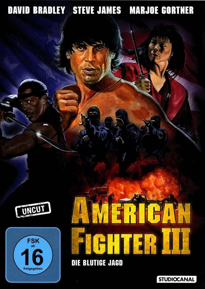 american-fighter-3-dvd-cover.jpg