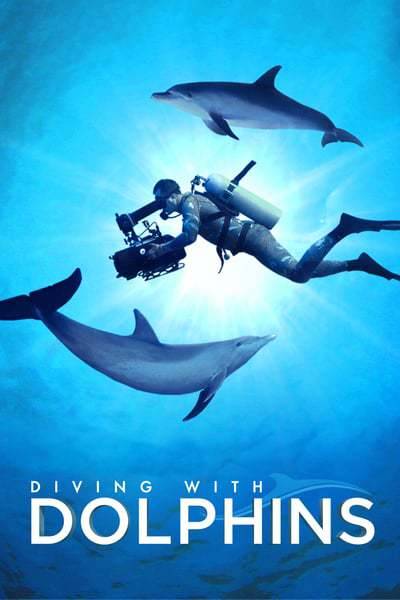 diving.with.dolphins.55kwr.jpg
