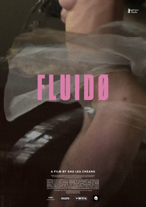 fluido-poster.jpg